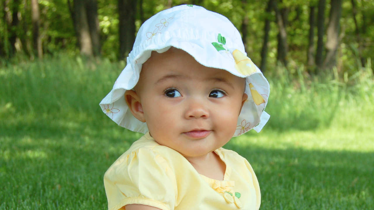 File Photo: Canva