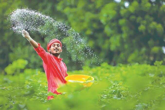 Government orders close monitoring of fertiliser stocks