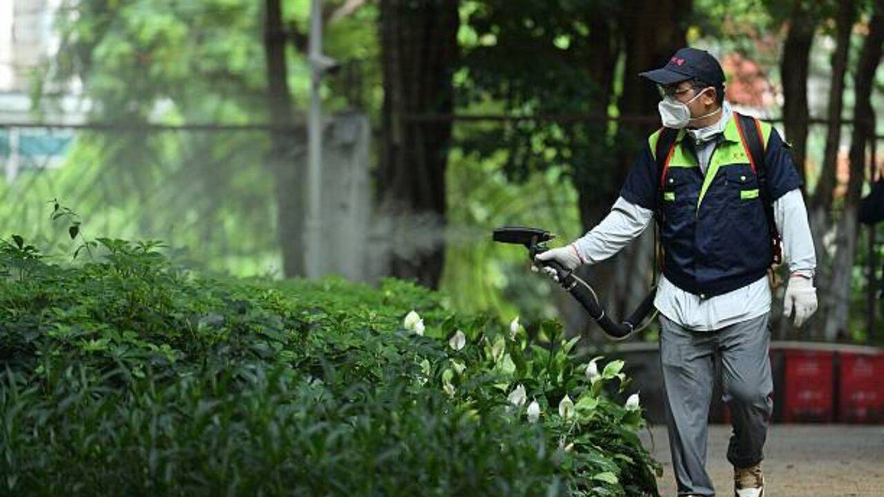What does the insecticide target?<br><br>
