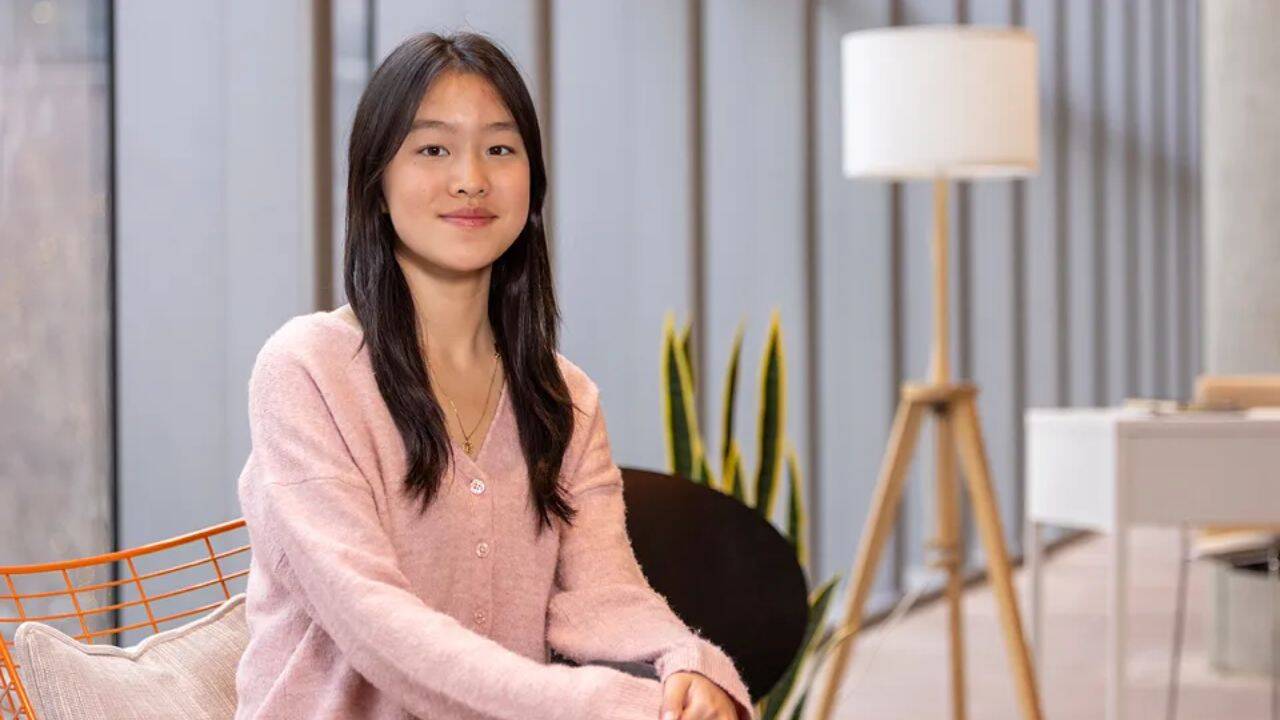 What was Lu trying to teach the AI to recognise