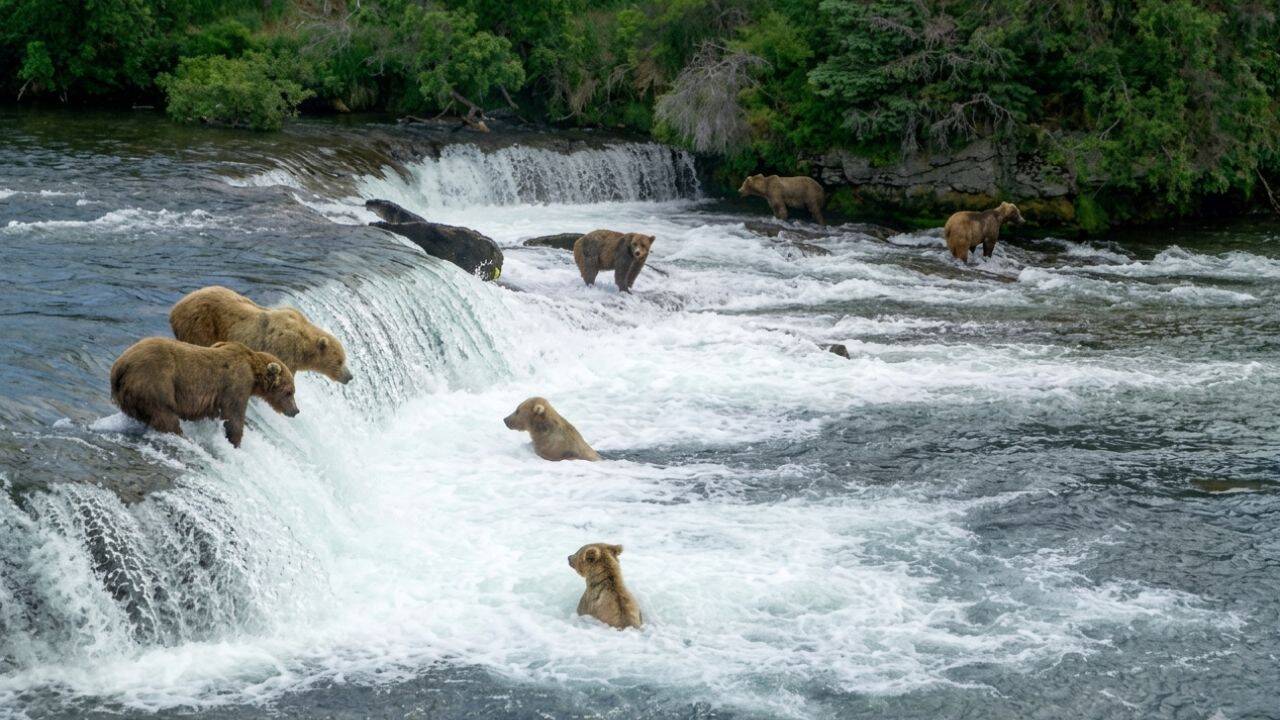 The large gatherings appear to be one reason the livestream has attracted so much attention<br>