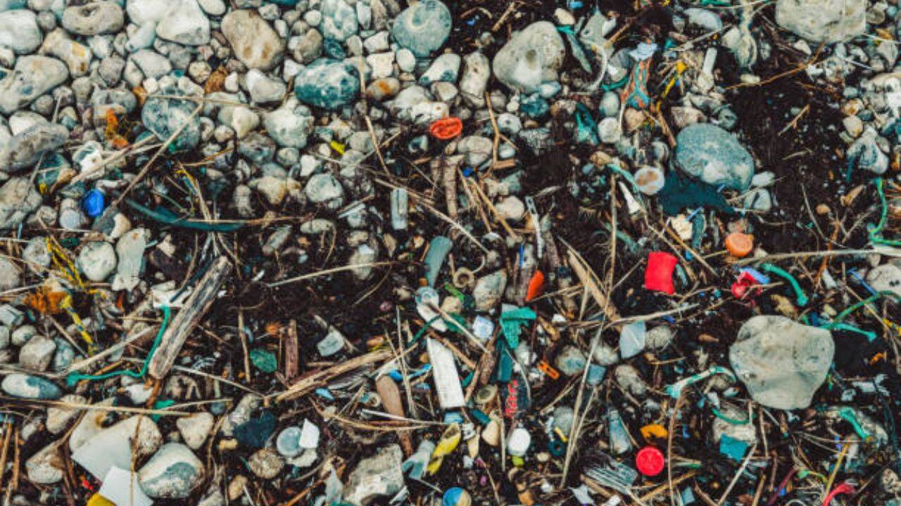 The garbage island<br><br>