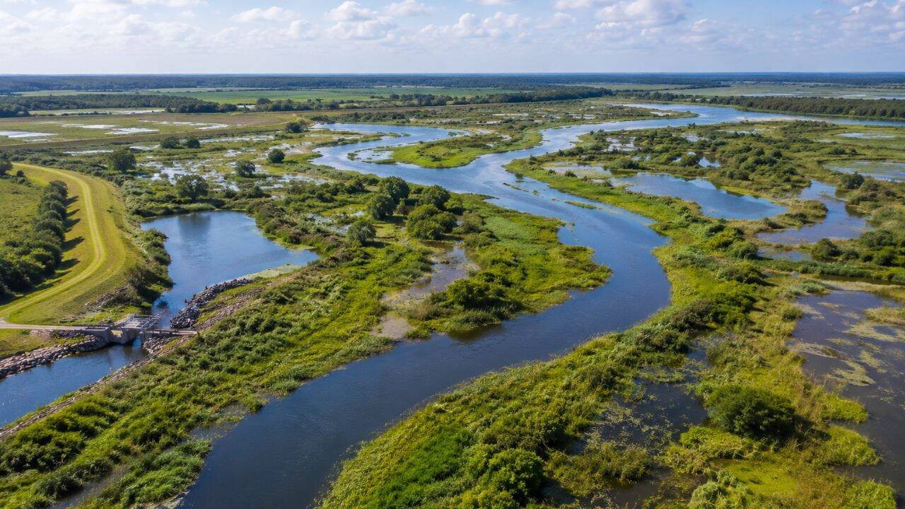 The plan to reconnect the river with its floodplain<br>