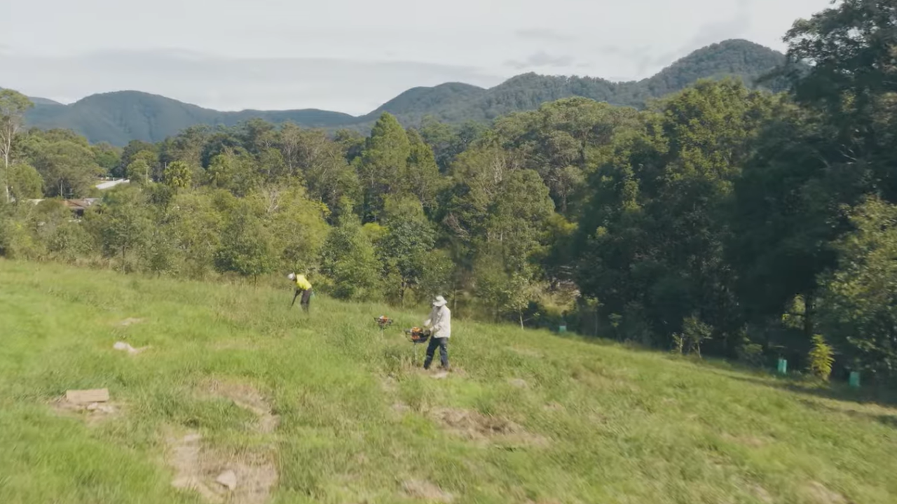 Australian couple bought a cattle farm and planted 34,000 trees to restore rainforest for koalas and other wildlife<br>