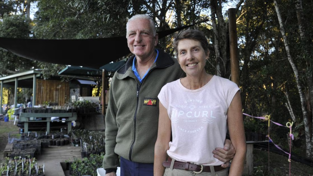 Australian couple bought a cattle farm and planted 34,000 trees to restore rainforest
