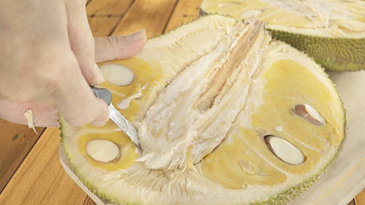 Jackfruit <br>