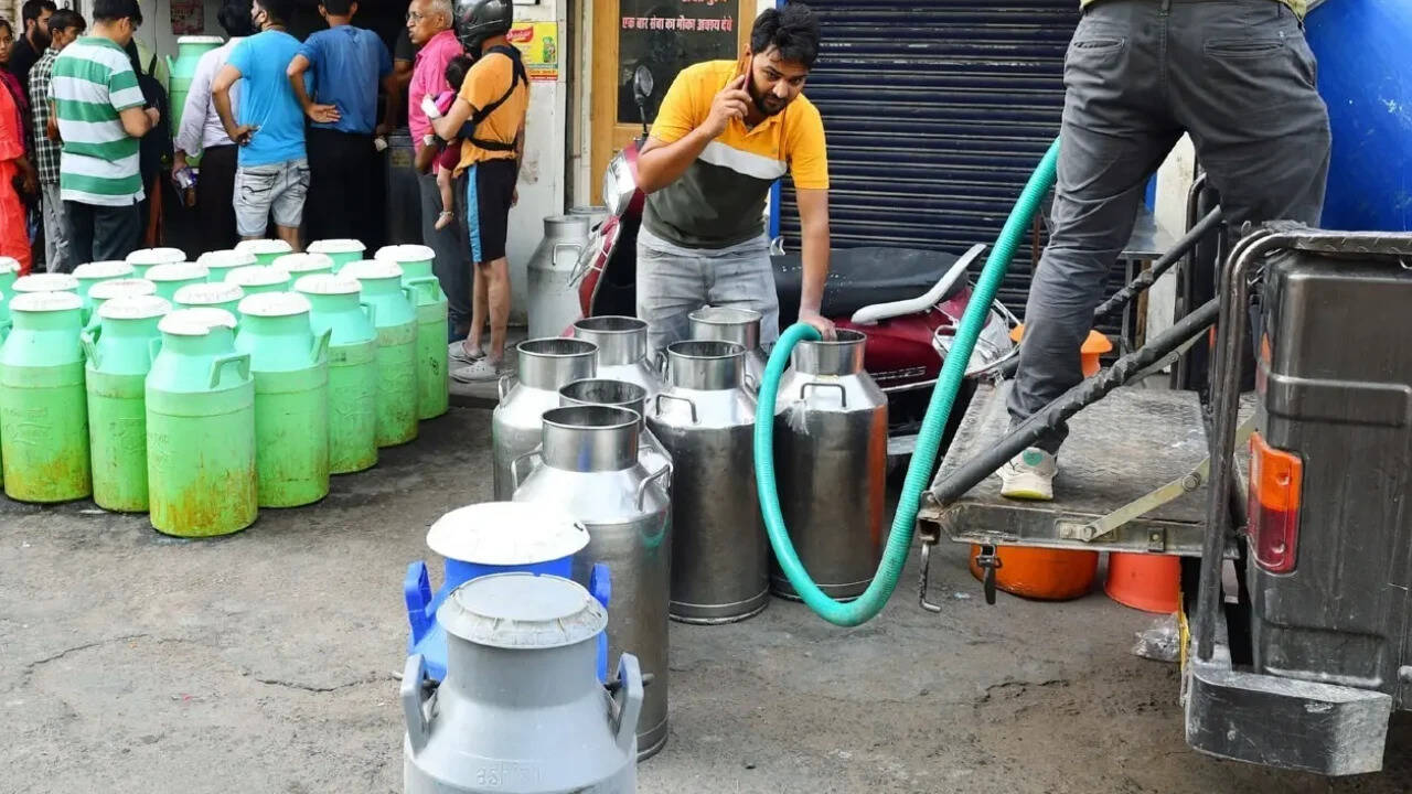 Tamil Nadu raises milk procurement price to ₹41 per litre