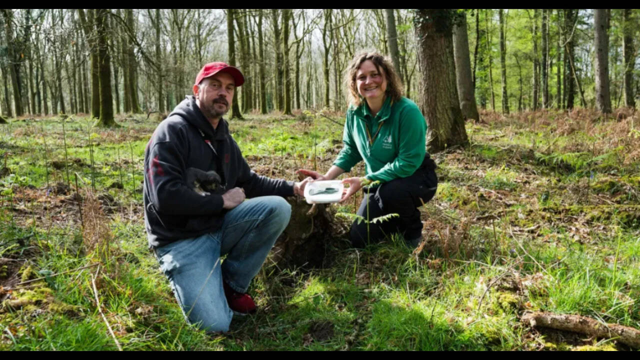 Man and his dog uncover a 3,400-year-old Bronze Age axe in England