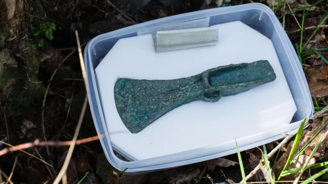 Researchers date the axe to between 1400 and 1275 B.C.E. Image: Forestry England<br>