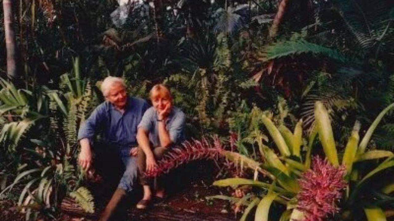 Pulitzer Prize-winning poet bought a barren land in Hawaii and turned it into a 19-acre forest with more than 3,000 palms