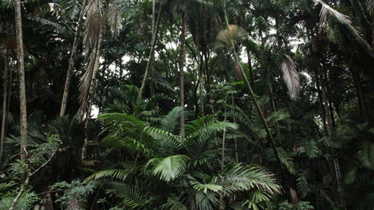 Not native, but endangered<br><br>