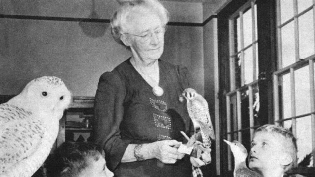 For over 50 years, Elizabeth Dickens recorded Block Island's birds, creating a historic record