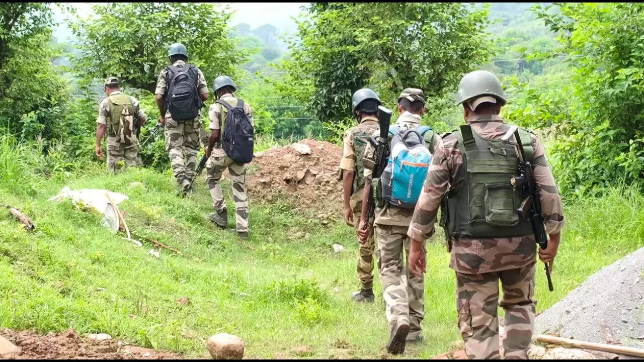 J&K: Security forces search Kathua forests after locals report suspicious movement