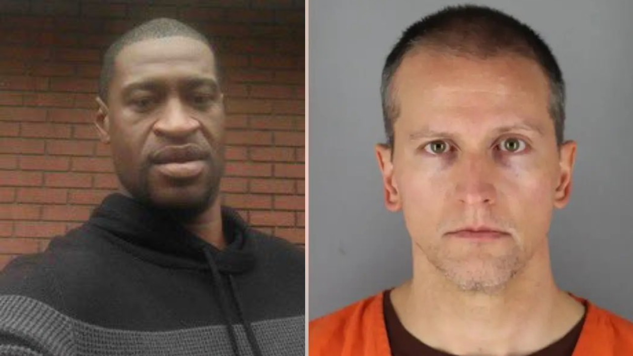 Elon Musk backs Derek Chauvin as he files new George Floyd conviction challenge