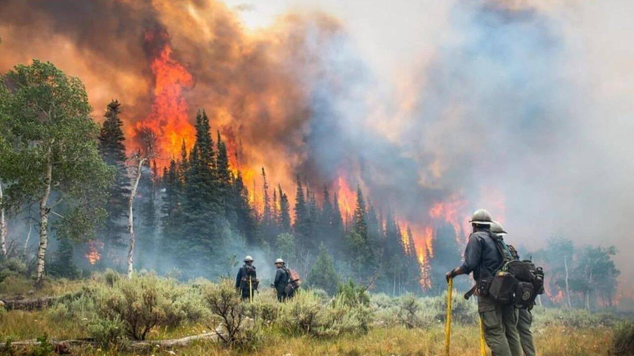 Canadian wildfires cut solar power by 6.38 TWh, caused $1.9bn loss in 2023