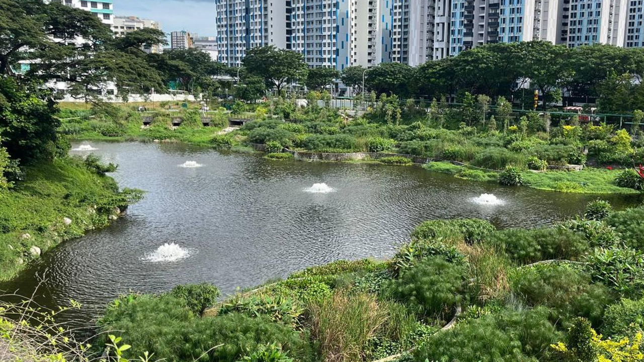 Singapore rebuilt a vanished 1920s lake as a flood-control and wildlife haven