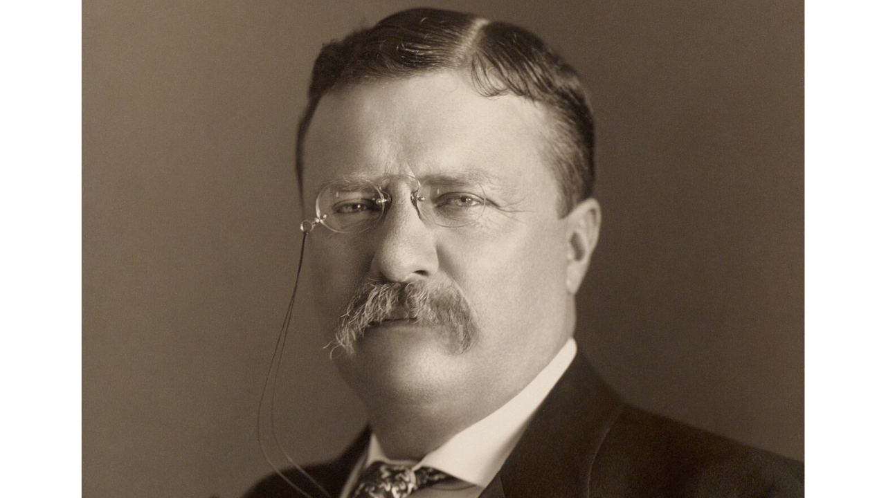 Quote of the day by Theodore Roosevelt: "The credit belongs to the man who is..."
