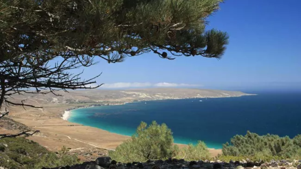 In 1986, a family sold California's 53,000-acre Santa Rosa Island to the US for nearly $30 million