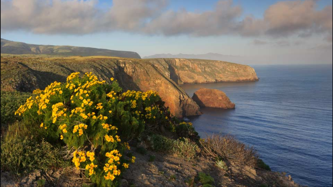 US seized California island ranch after $4m offer; jury awarded family $12.7m