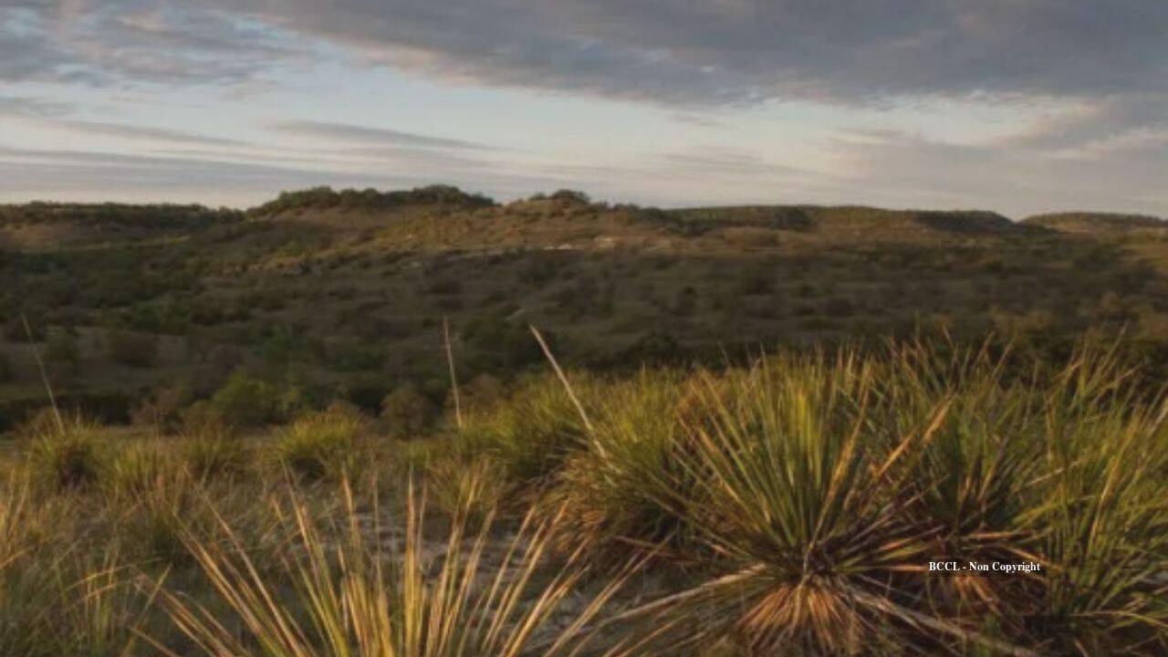Chicken chain co-founder restores 3,000-acre Texas ranch, revives lost springs