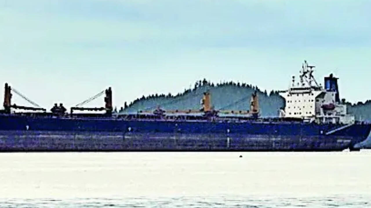 Panama-flagged cargo ship sinks off Odisha near Paradip; rescue operation underway