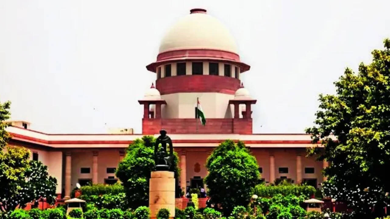 Change in revenue record doesn't create, end property title: SC