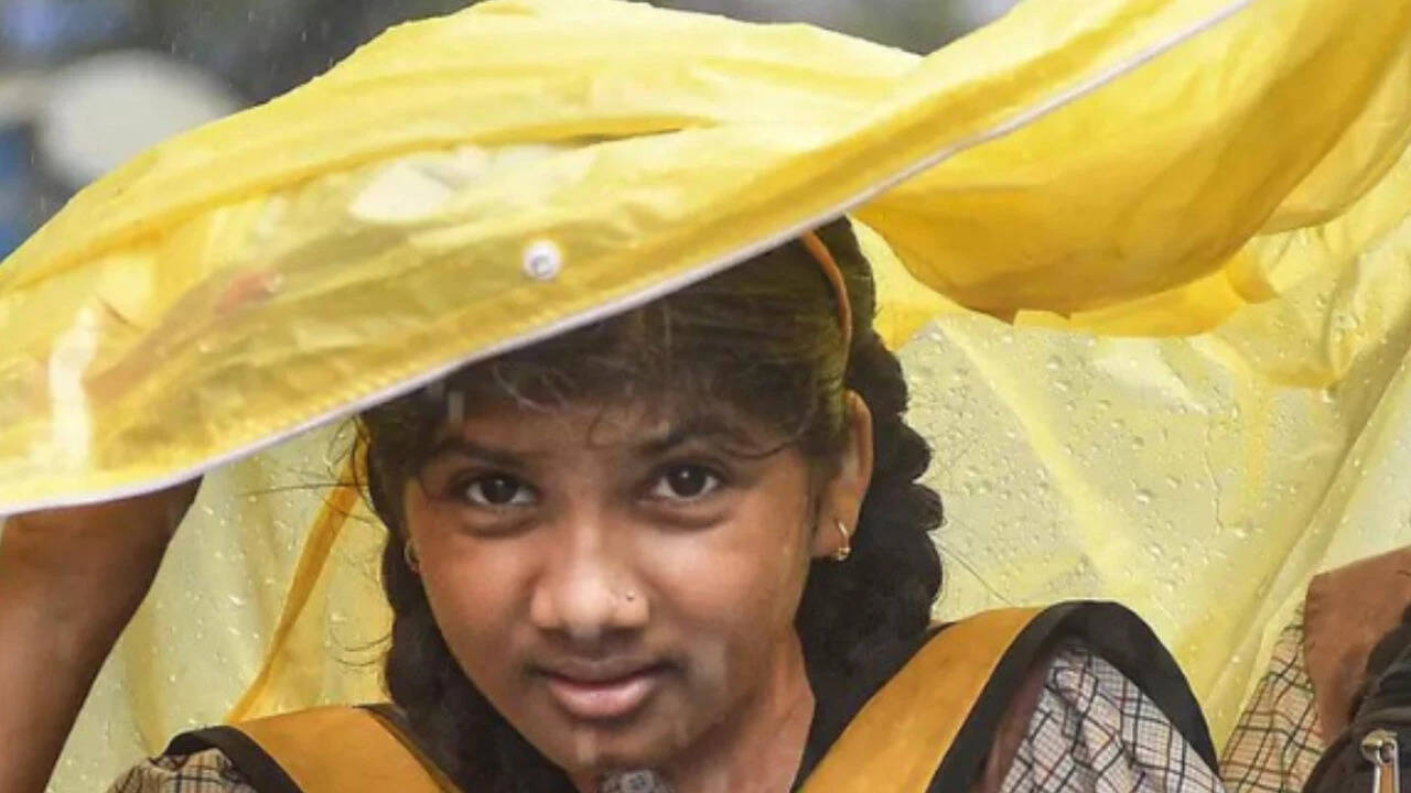 School holiday August 24: Are schools closed today due to heavy rain? Check state-wise updates