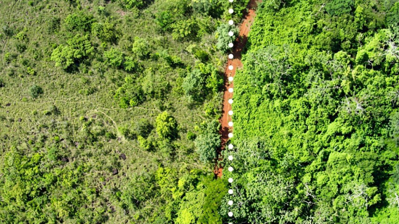In 1998, Costa Rica spread 12,000 tonnes of orange waste; 16 years later, forest biomass rose 176%