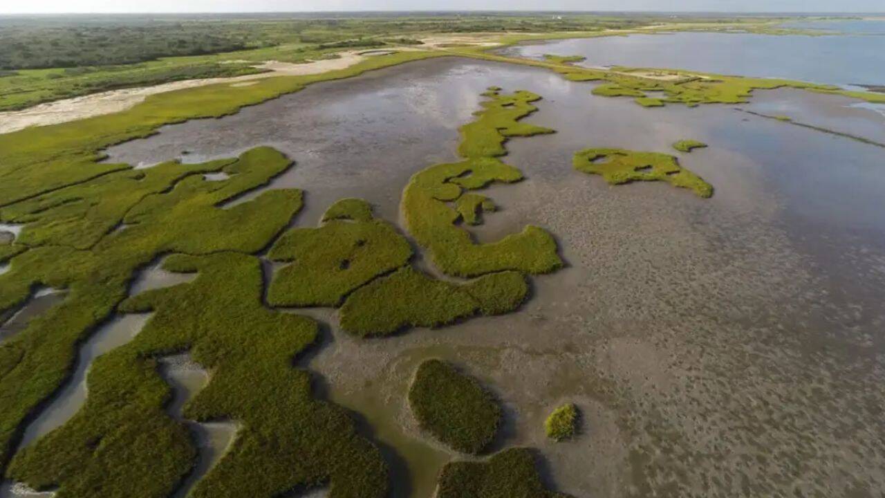 In 2014, Texas bought 17,351-acre Powderhorn Ranch; 15,000 acres later became a wildlife area