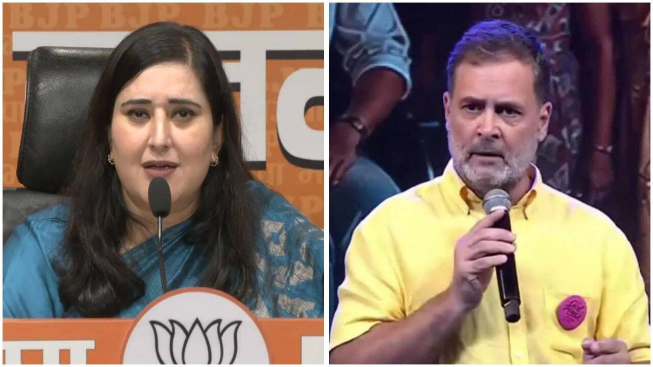 ‘Shouldn't it begin with Congress?' BJP targets Rahul over 'smash patriarchy’ remark