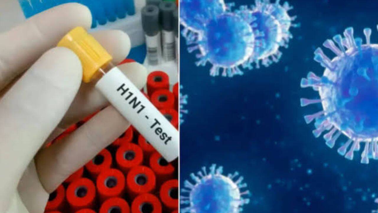 Delhi reports 138 fresh H1N1 cases in 24 hours; tally crosses 2,400