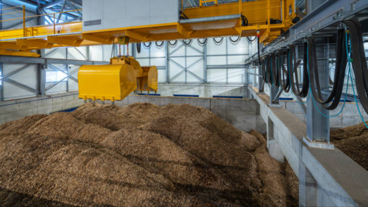 Scientists turn wood waste into foam that replaces plastic and decomposes in soil within months