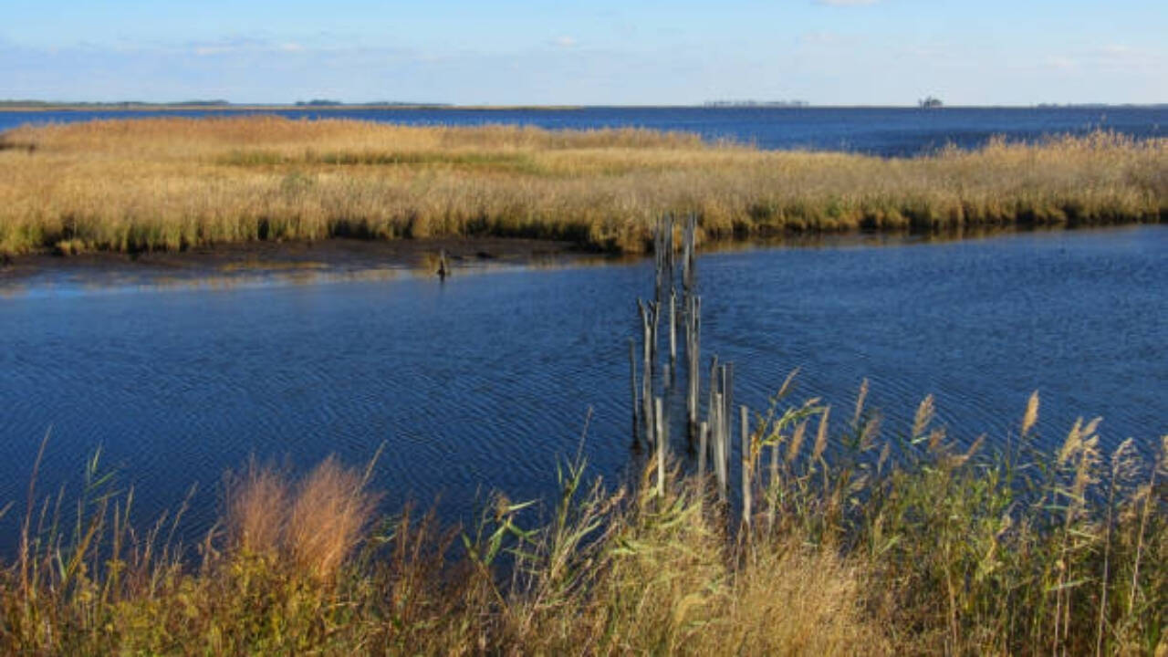 Aviation pioneer Glenn L. Martin donated over 2,500 acres in 1954, helping create a refuge for migratory birds