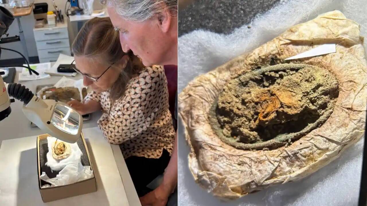 Viking woman’s clothes preserved by her jewellery for 1,300 years