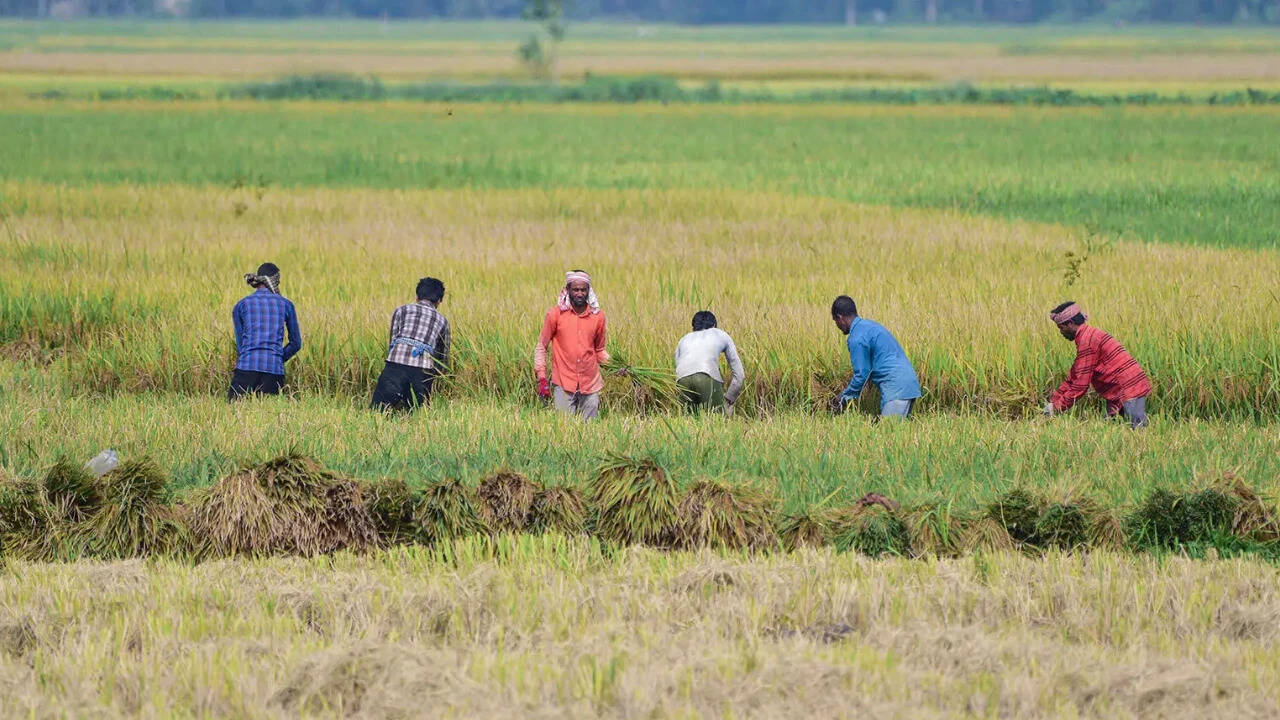 August rainfall fails to reduce India’s monsoon deficit