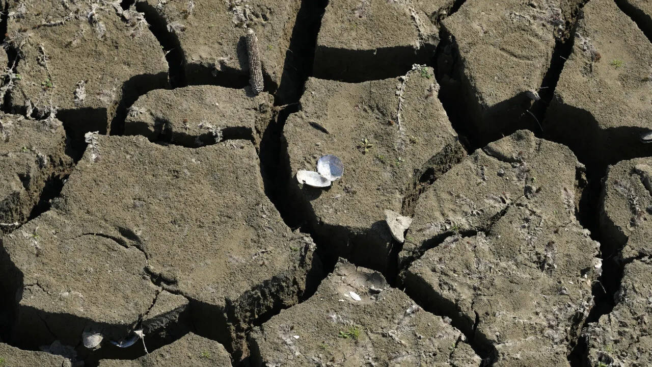England’s water network buckles under sudden summer drought