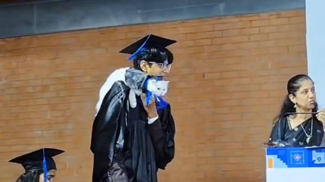 Cat attends convocation with graduate; professors’ reaction leaves internet amused