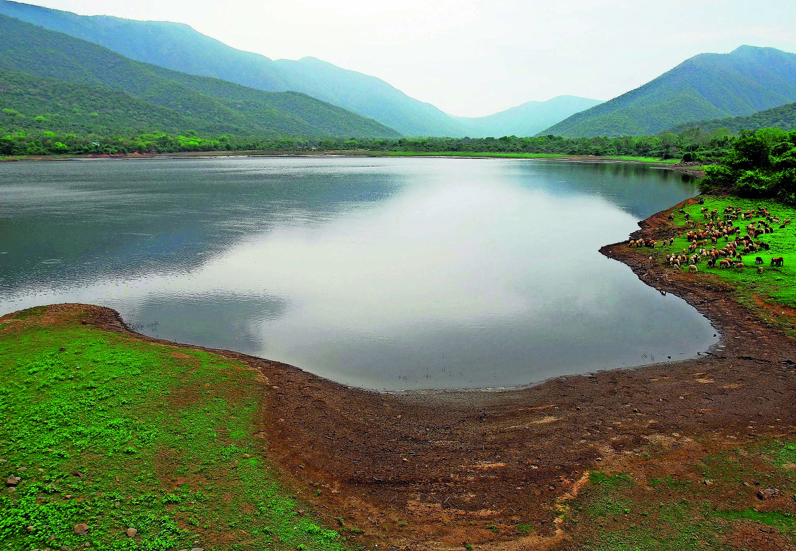 Tamil Nadu Awaits Governor Nod on Water Bill as Groundwater Falls