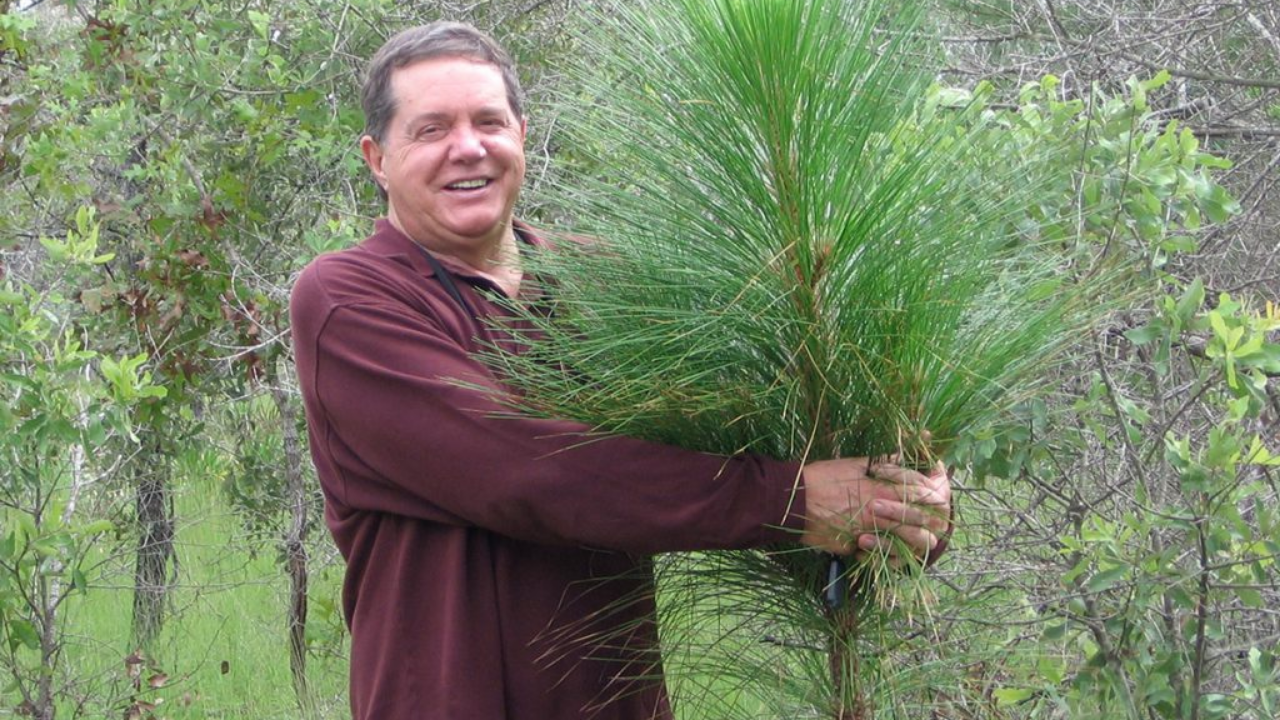 A man bought 51,000 acres of degraded land in Florida; decades later, it is the largest private restoration project east of the Mississippi