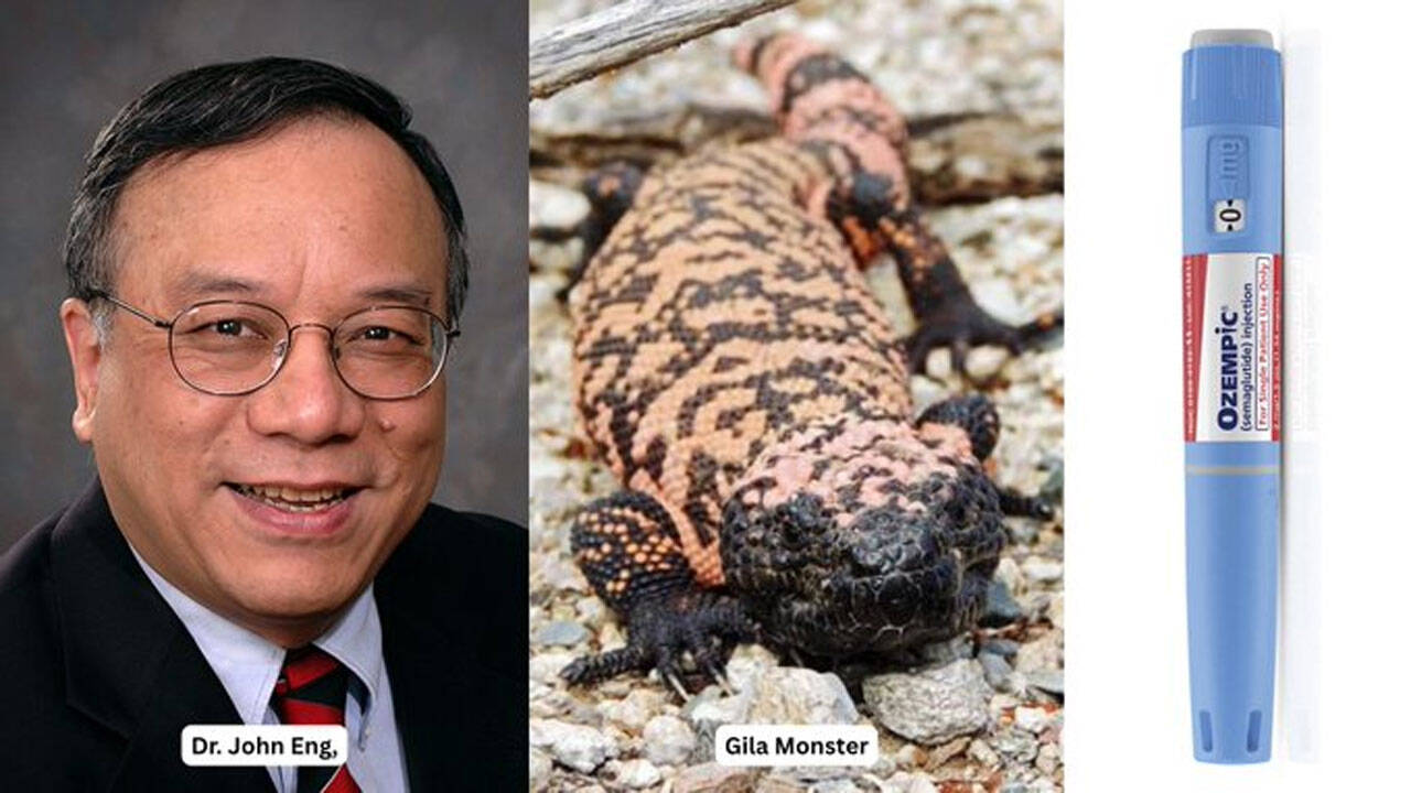 In 1992, Dr John Eng discovered a molecule in Gila monster venom; decades later, his finding helped pave the way for widely used type 2 diabetes medicines