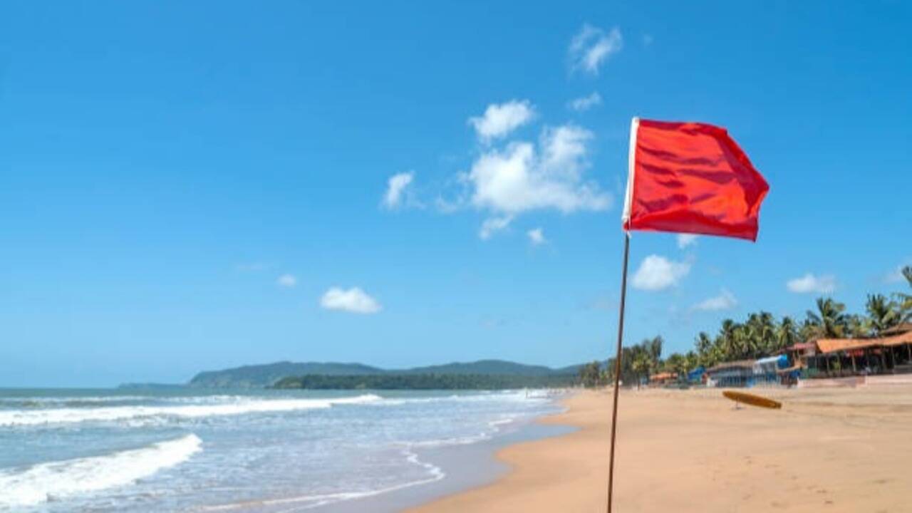 Why is it illegal to take sand from some beaches? The environmental and legal reasons you should know before collecting it