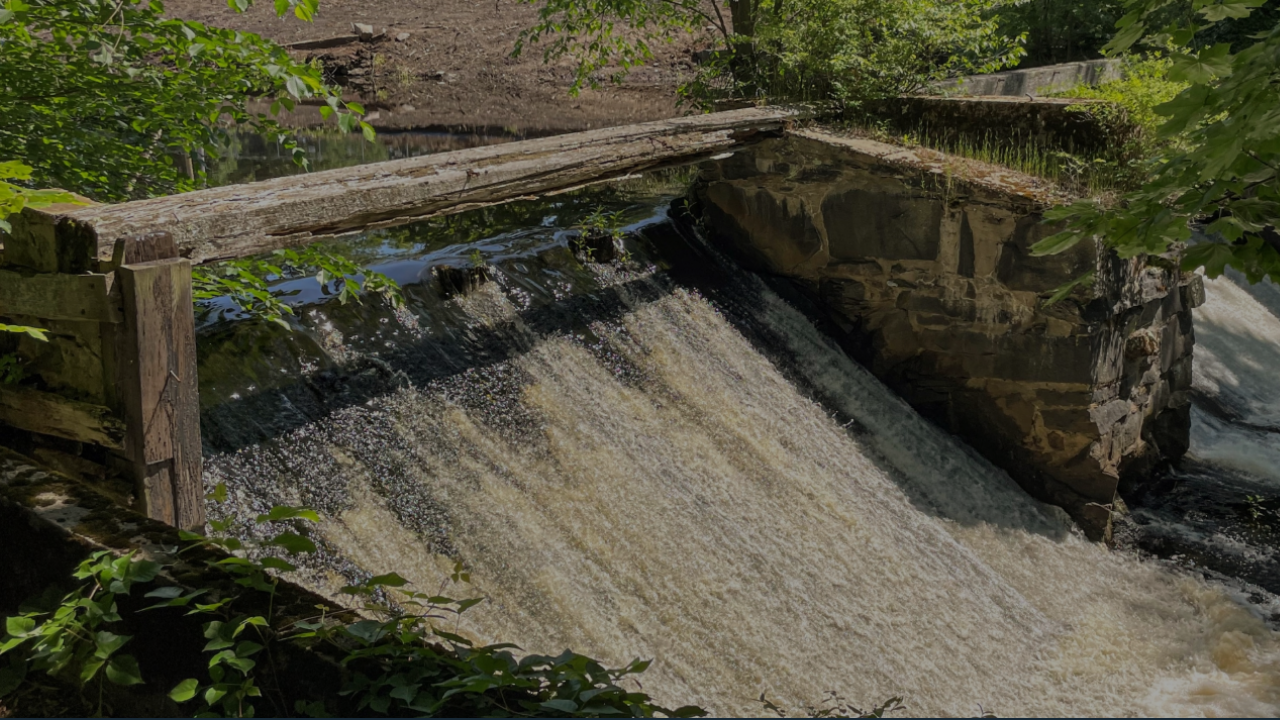 Dam removal in Massachusetts reopened 10 miles of river and 354 acres for fish