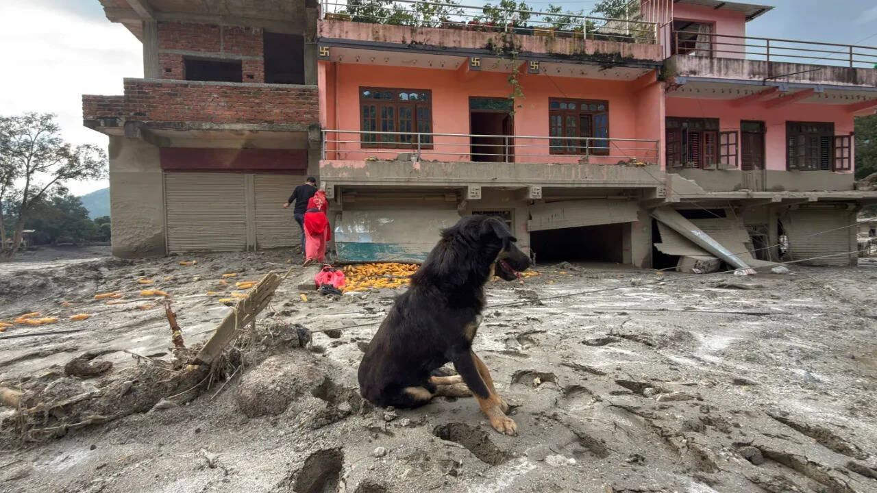 Nepal tragedy: Owners missing, dog refuses to leave flood-hit Trishuli home