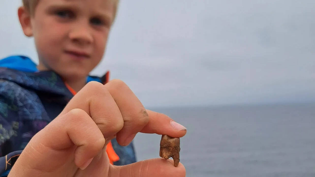 Meet Arthur, the 7-year-old British boy who found ancient human teeth