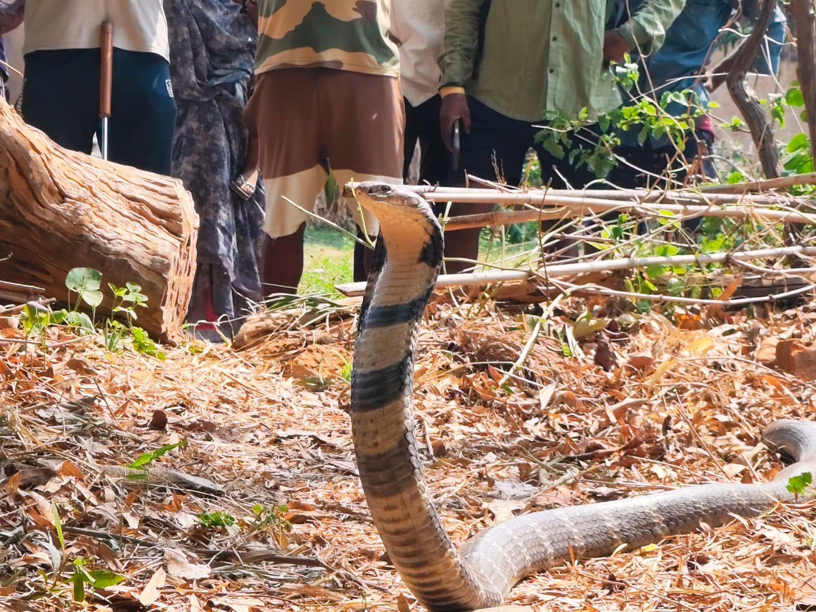 Activists urge Karnataka minister to address alleged wildlife violations in Agumbe