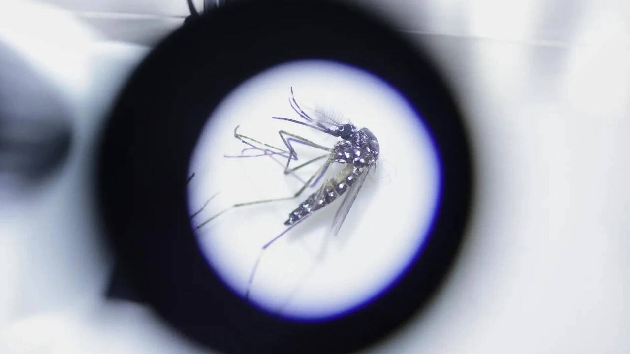 Northeast faces new vector threat as diseases spread to new areas: Health panel