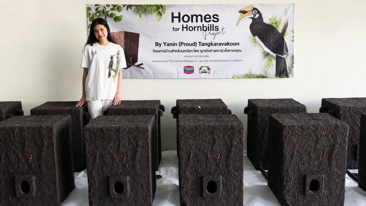Meet a 17-year-old Thai student who built artificial hornbill nests from plastic