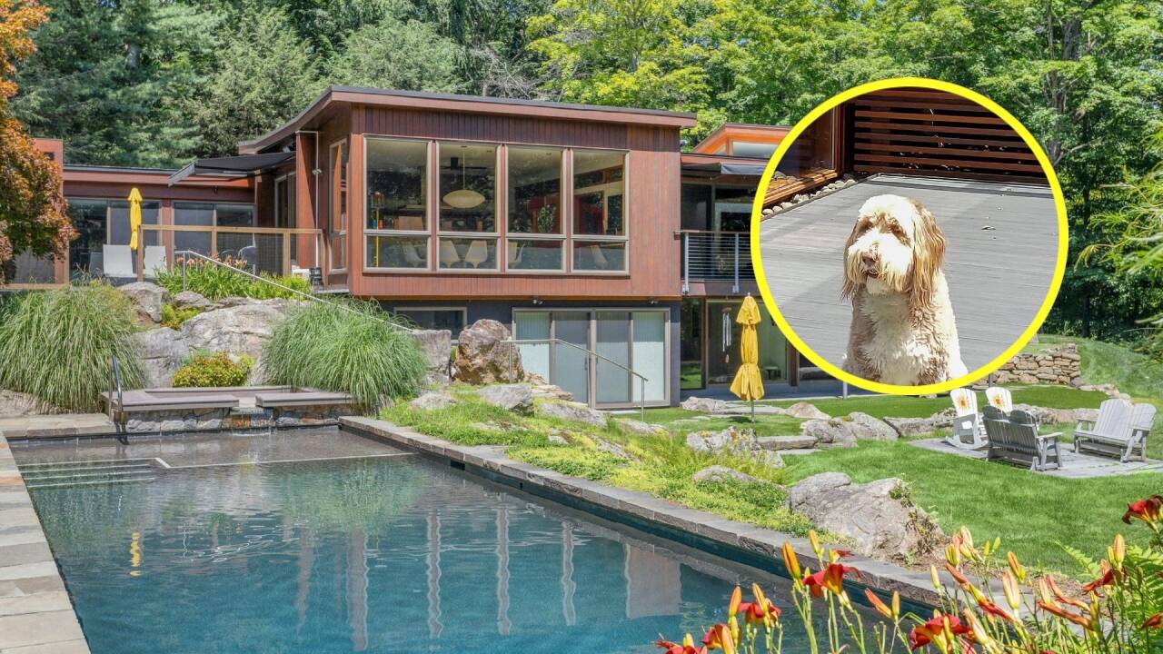 NY couple spend $3M on a home for their dog; now sell for $2.9M