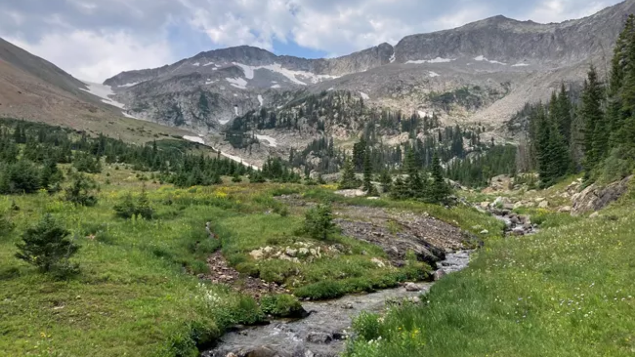 After 20M fish were stocked, 2026 crews treated 14.3 miles to restore threatened greenback trout