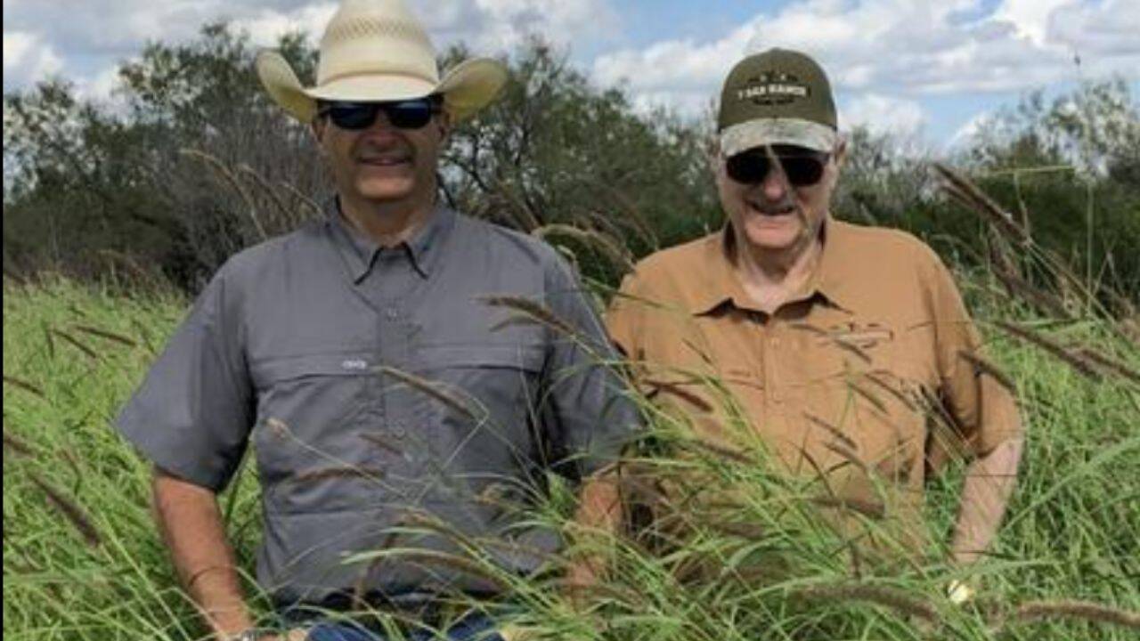 Two friends transformed a 225-acre overgrazed Texas ranch, bringing back quail and wildlife